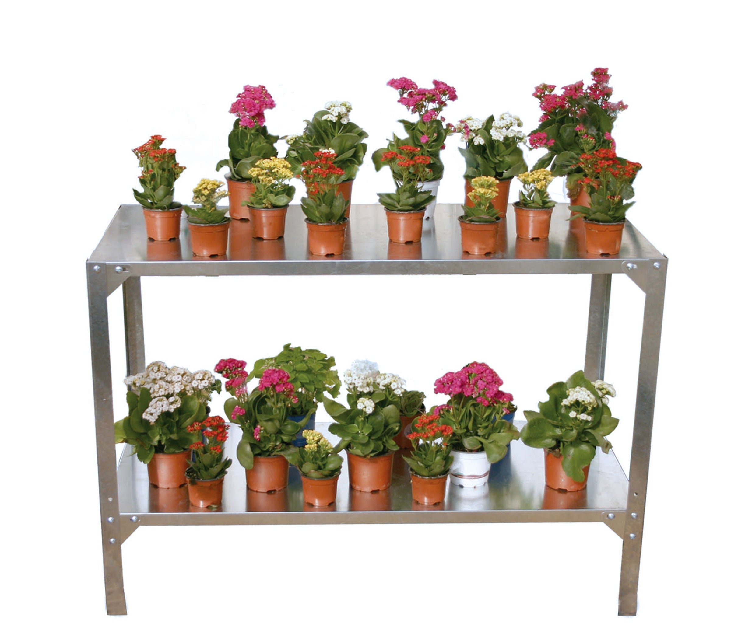 Palram® Steel Work Bench - Dive To Garden