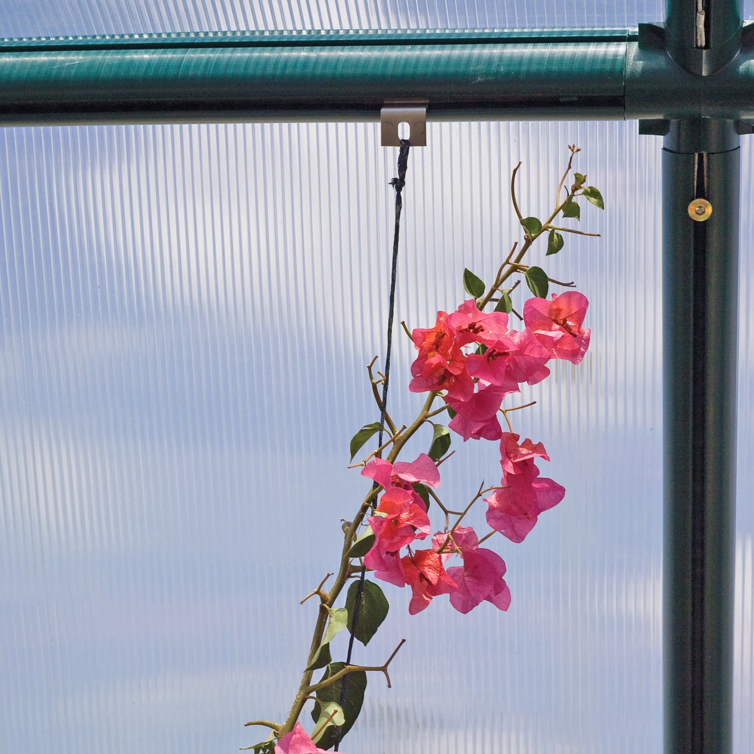 Hanging & Anchoring for Palram-Canopia® Greenhouse - Dive To Garden