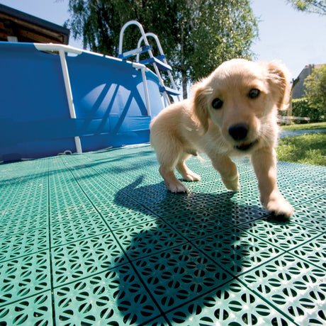 MONT™ Greenhouse Interlocking Flooring System - Dive To Garden