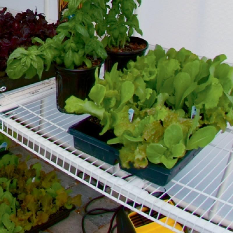Greenhouse Accessories - Solexx 8