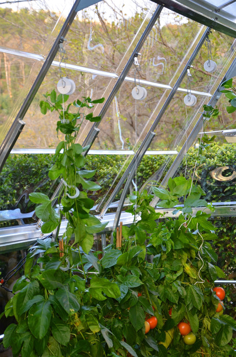 Trellising Kit Pro for Palram-Canopia® Greenhouses - Dive To Garden