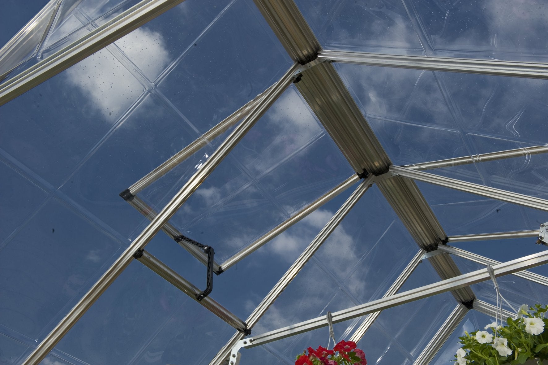 Snap&Grow™ 8x8x12.ft Clear Wall Greenhouse - Dive To Garden