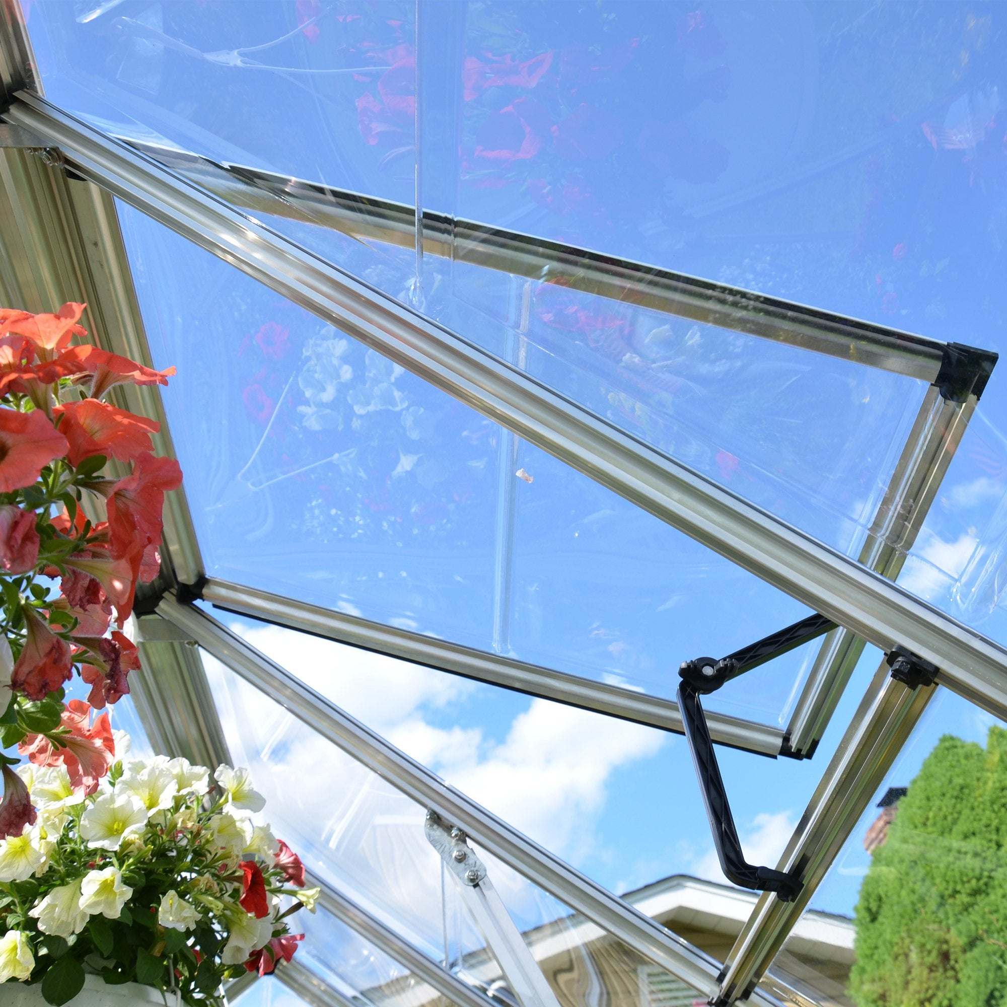 Snap&Grow™ 8x8x16.ft Clear Wall Greenhouse - Dive To Garden