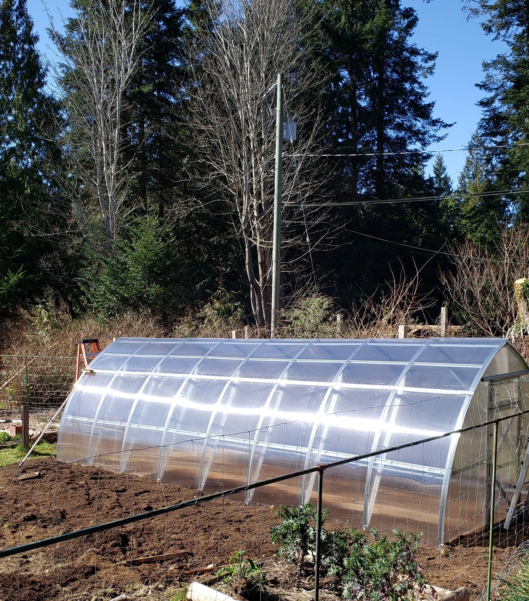 Sungrow 26™ 10x8x26.ft Greenhouse - Dive To Garden