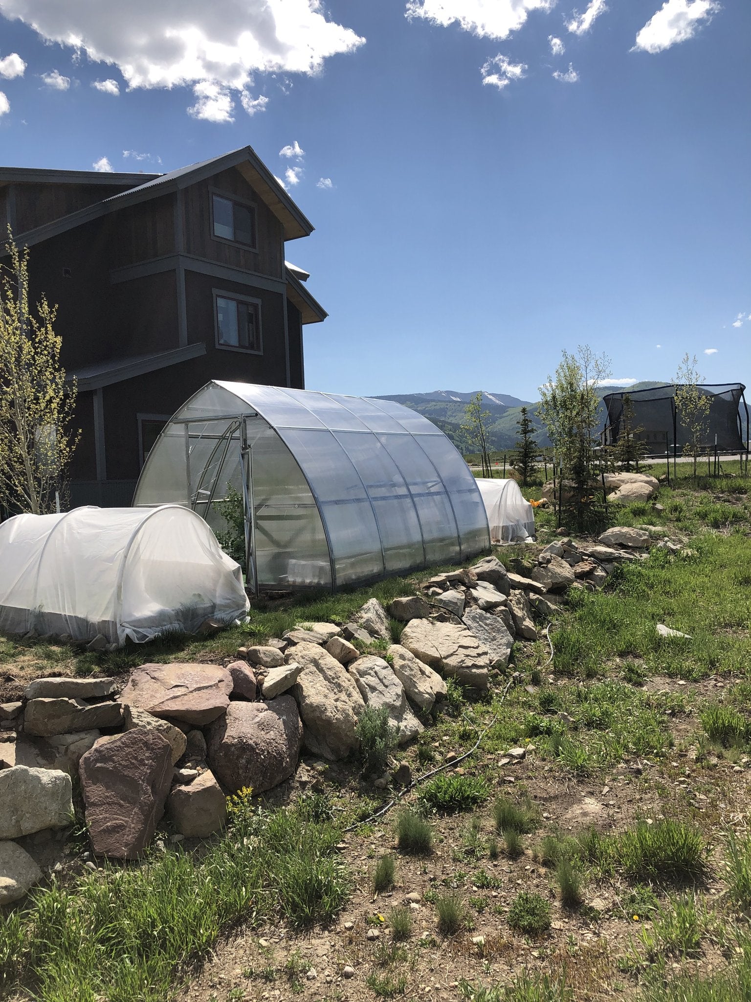 Sungrow Urban™ 10x8x13.ft Greenhouse - Dive To Garden