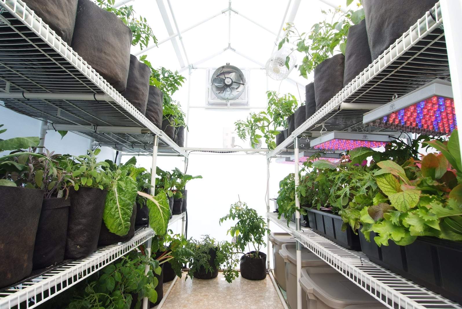 Garden Master™  8x8x8.ft Heat Efficient Greenhouse - Dive To Garden