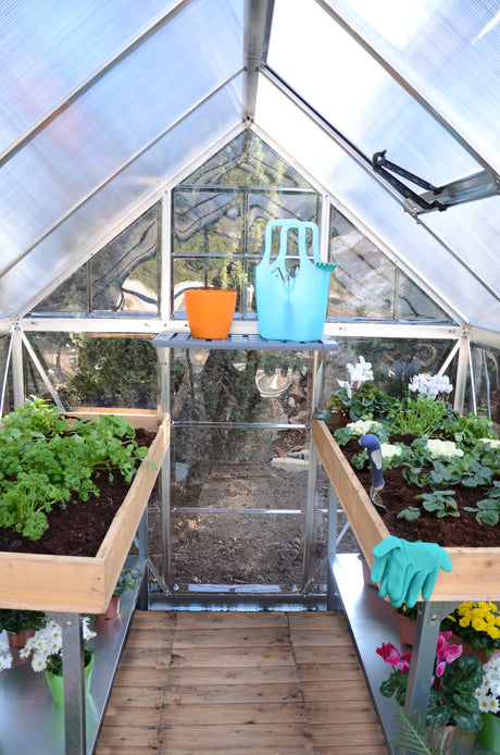 Hybrid™ 6x7x10.ft Clear Wall Greenhouse - Dive To Garden