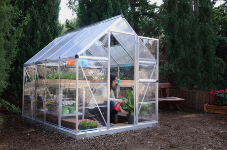 Hybrid™ 6x7X8.ft Clear Wall Greenhouse - Dive To Garden