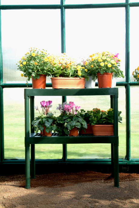 Prestige 2™ 8x8x20.ft Resin Greenhouse Package - Dive To Garden