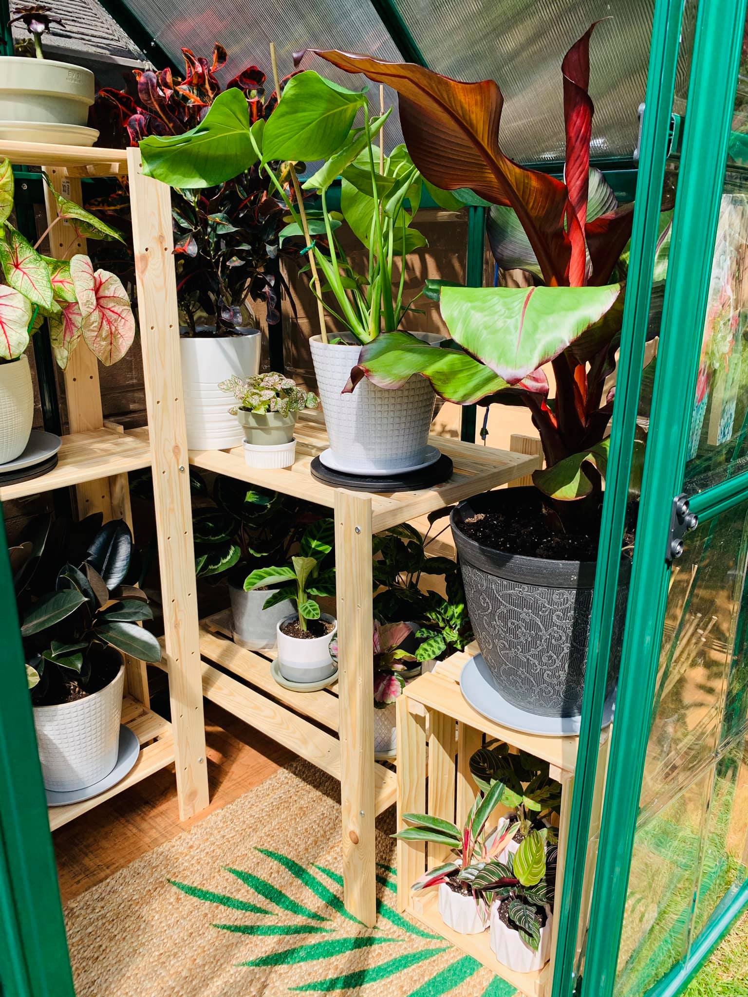 Hybrid™ 6x7x4.ft Clear Wall Greenhouse - Dive To Garden