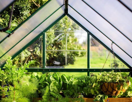 Hybrid™ 6x7X8.ft Clear Wall Greenhouse - Dive To Garden