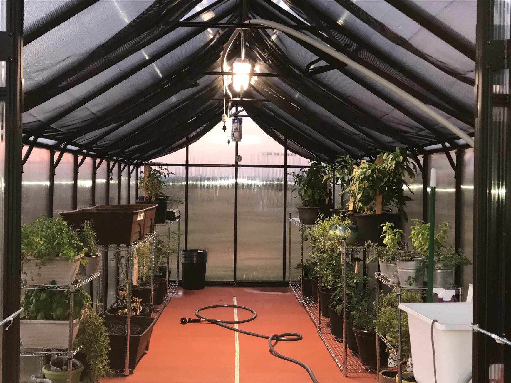 MONT™  Mojave 8x8x20.ft Greenhouse - Dive To Garden