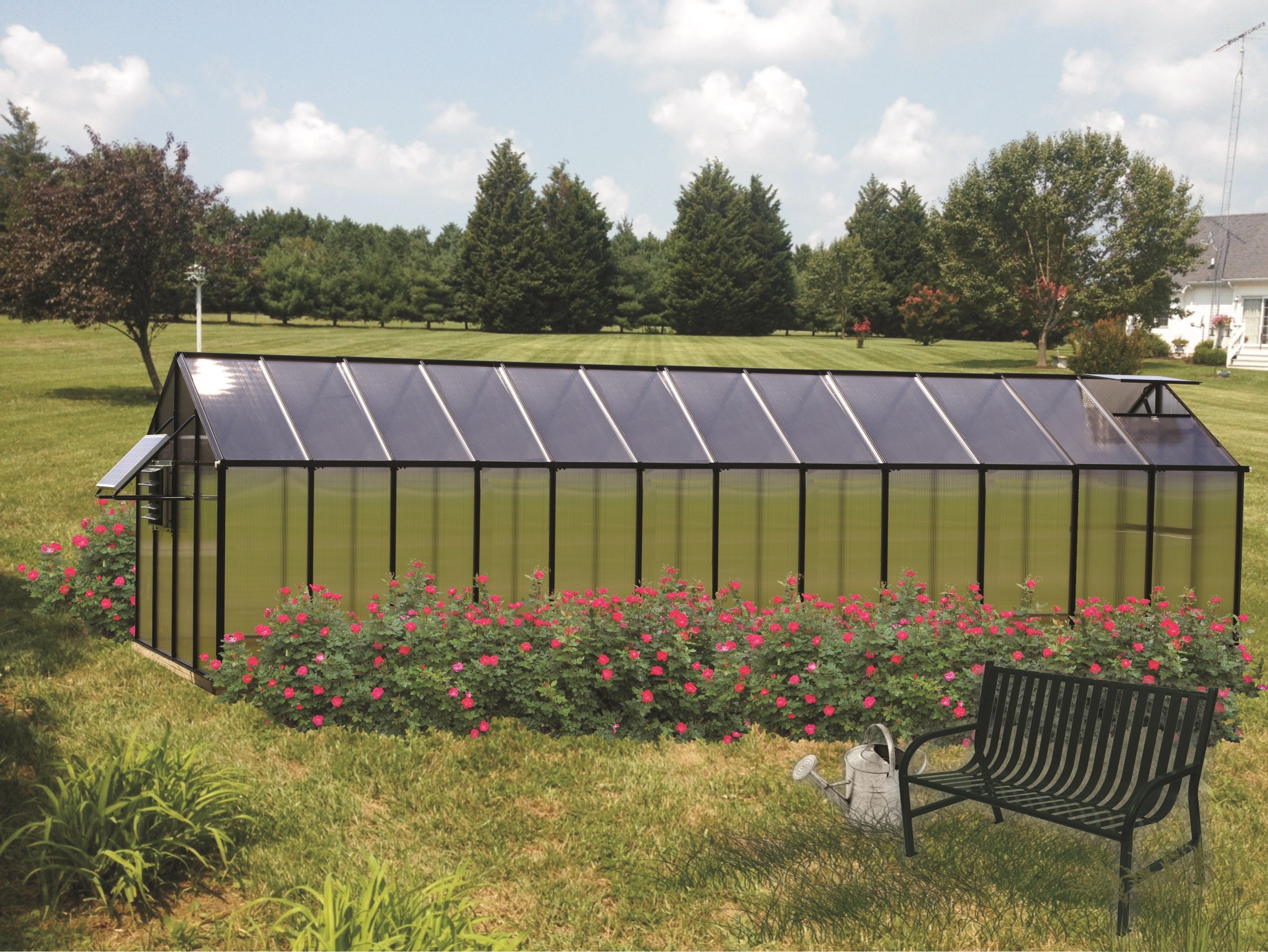 MONT™  Mojave 8x8x24.ft Greenhouse - Dive To Garden