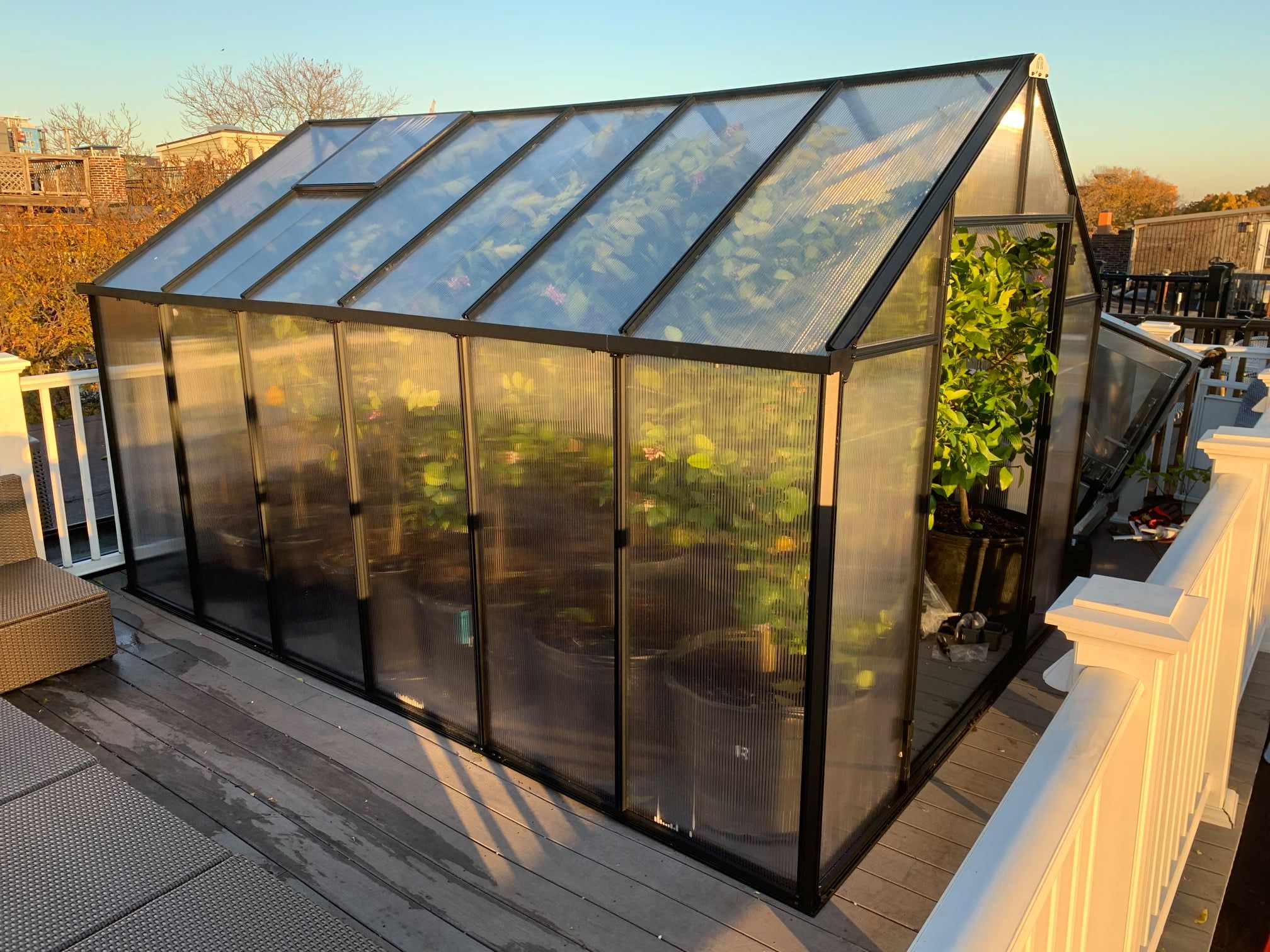 MONT™ 8x8x12.ft Large Entrance Greenhouse - Dive To Garden