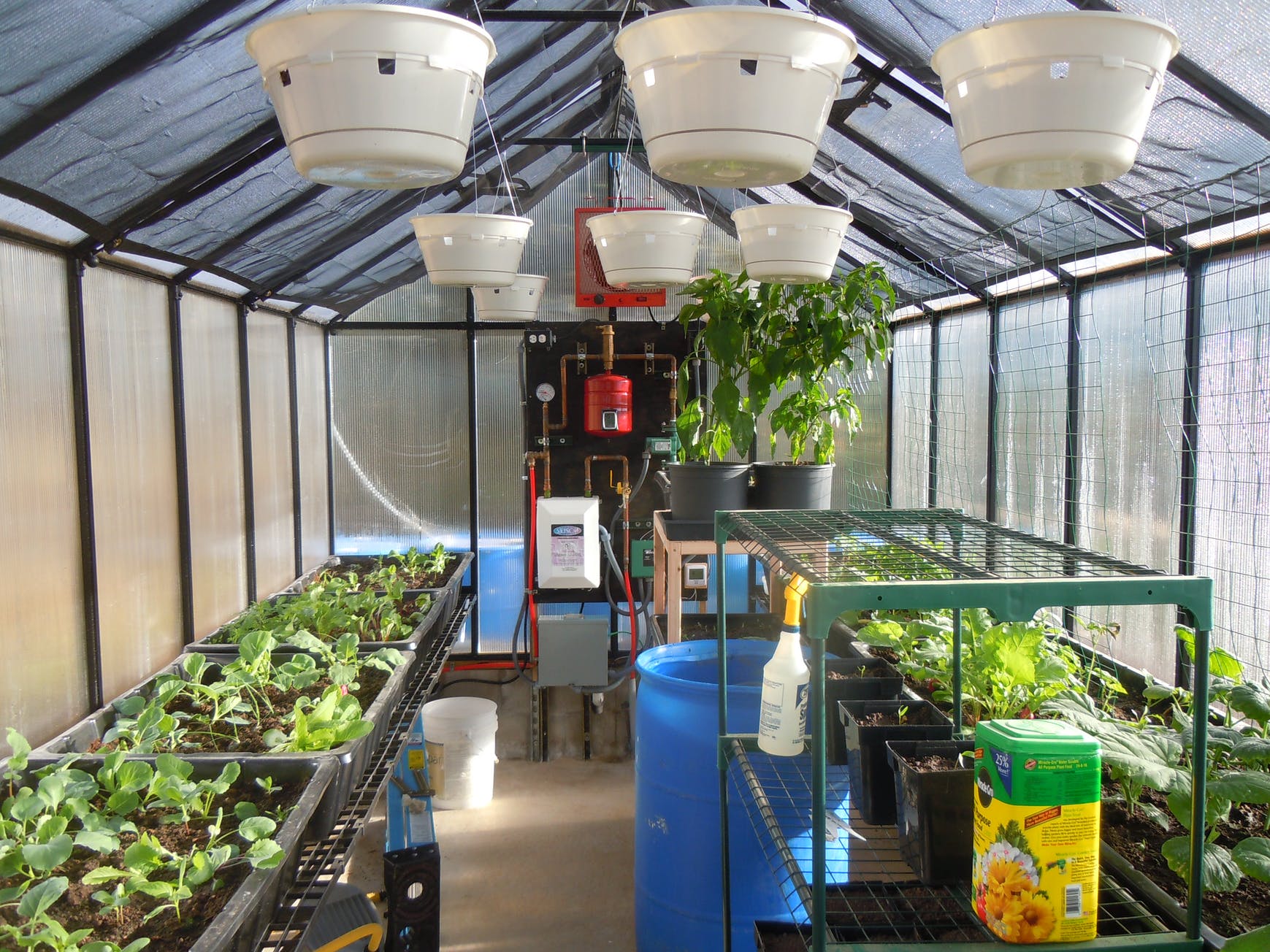 MONT™ 8x8x16.ft Large Entrance Greenhouse - Dive To Garden