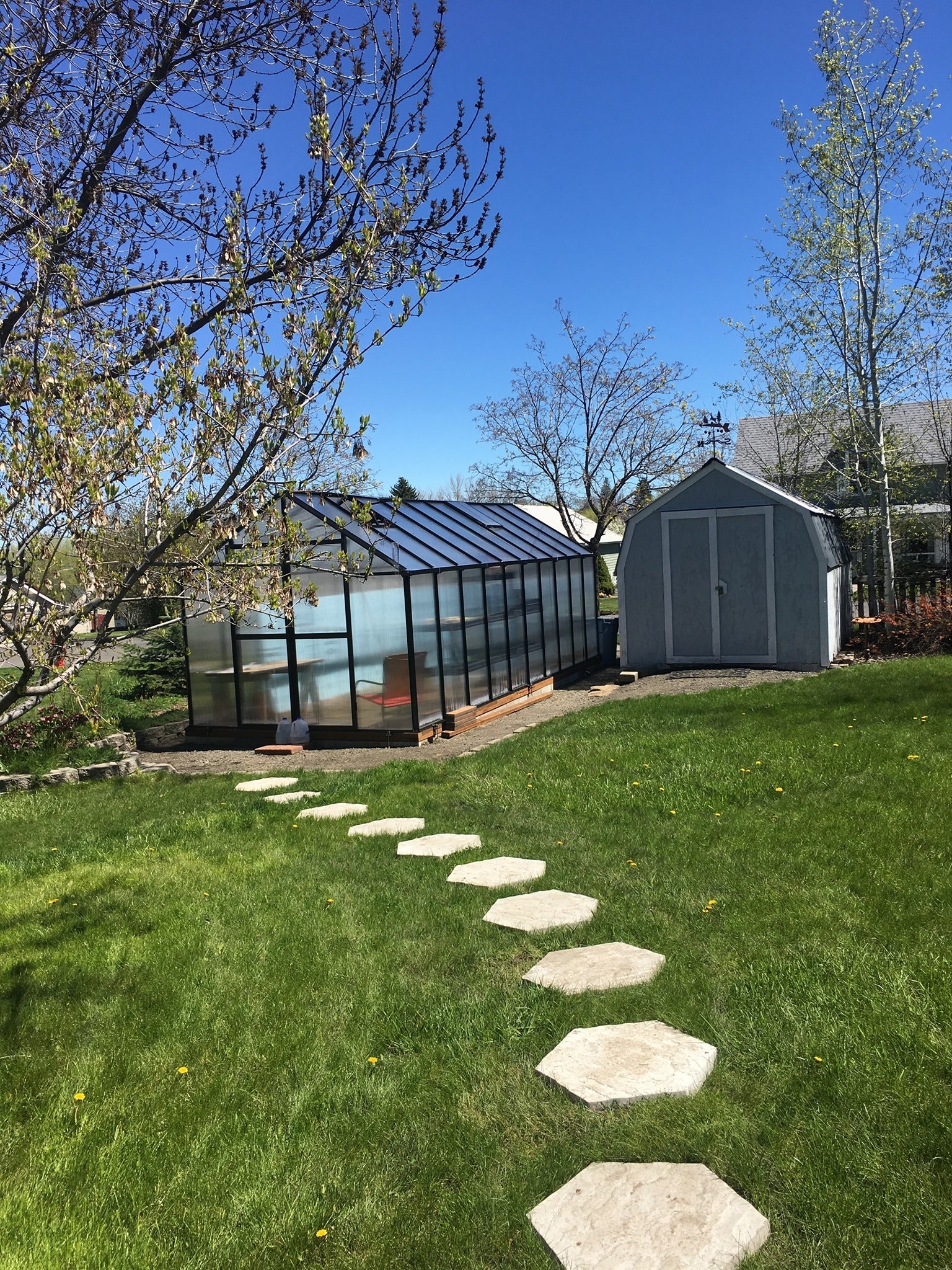 MONT™ 8x8x20 Large Entrance Greenhouse - Dive To Garden