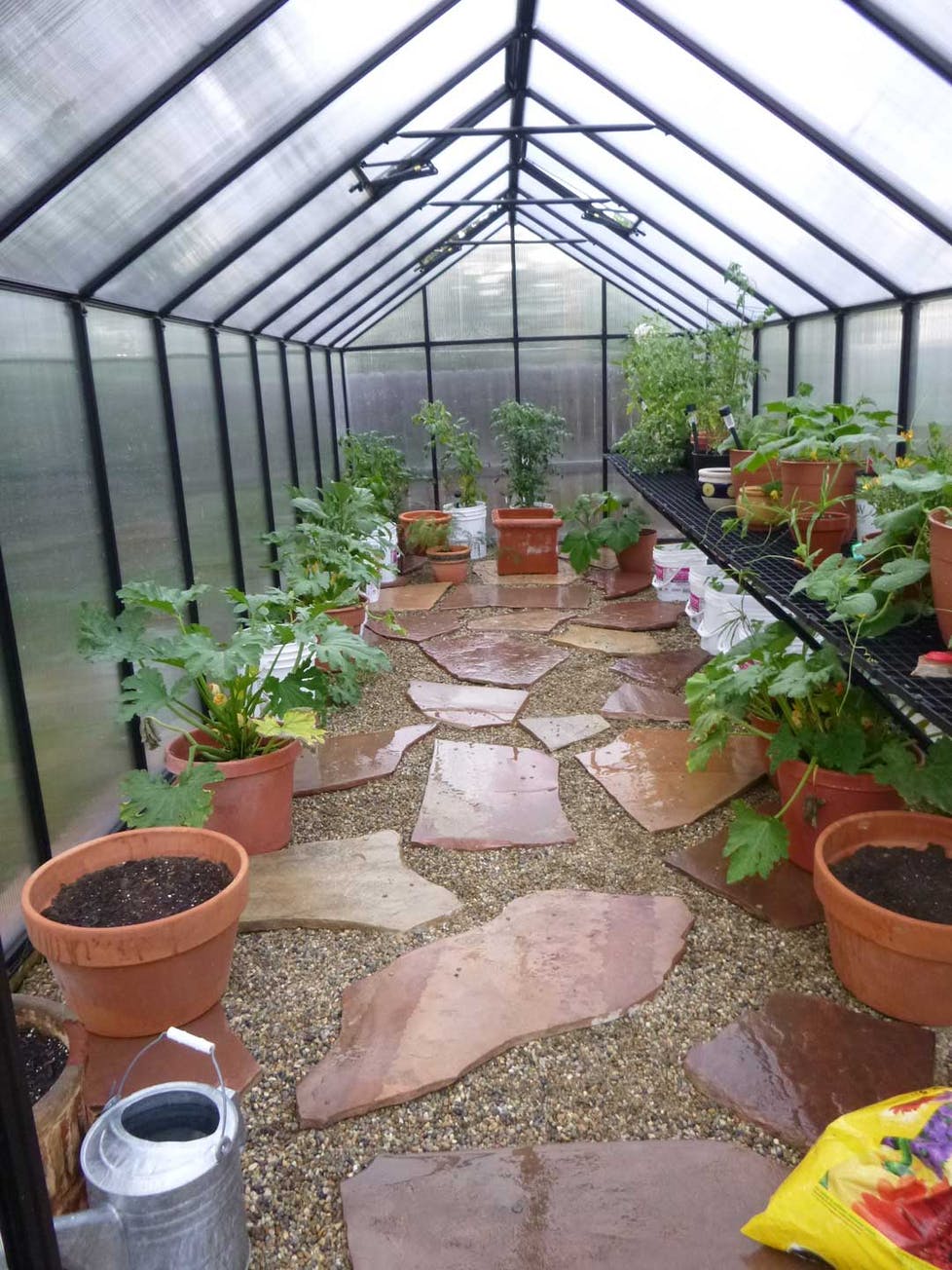 MONT™ 8x8x20 Large Entrance Greenhouse - Dive To Garden