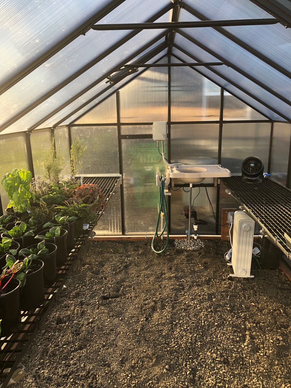 MONT™ 8x8x8.ft Large Entrance Greenhouse - Dive To Garden