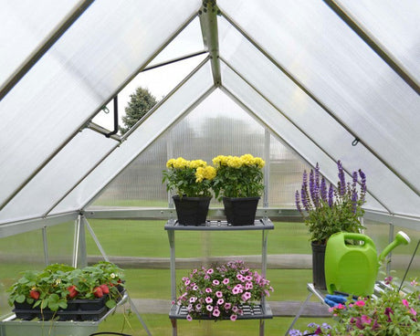 Mythos™ 6x6x8.ft Twin Wall Greenhouse - Dive To Garden