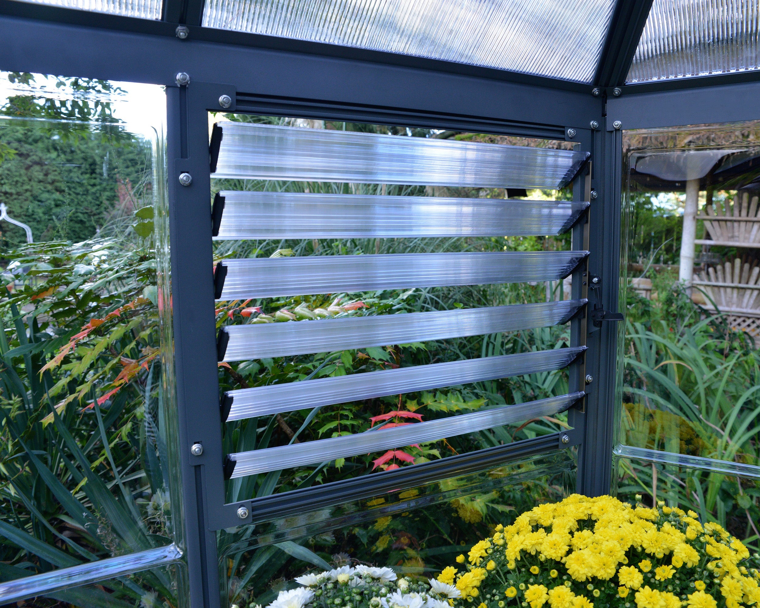 Oasis™ 10x9x12.ft Clear Wall Chalet Greenhouse - Dive To Garden