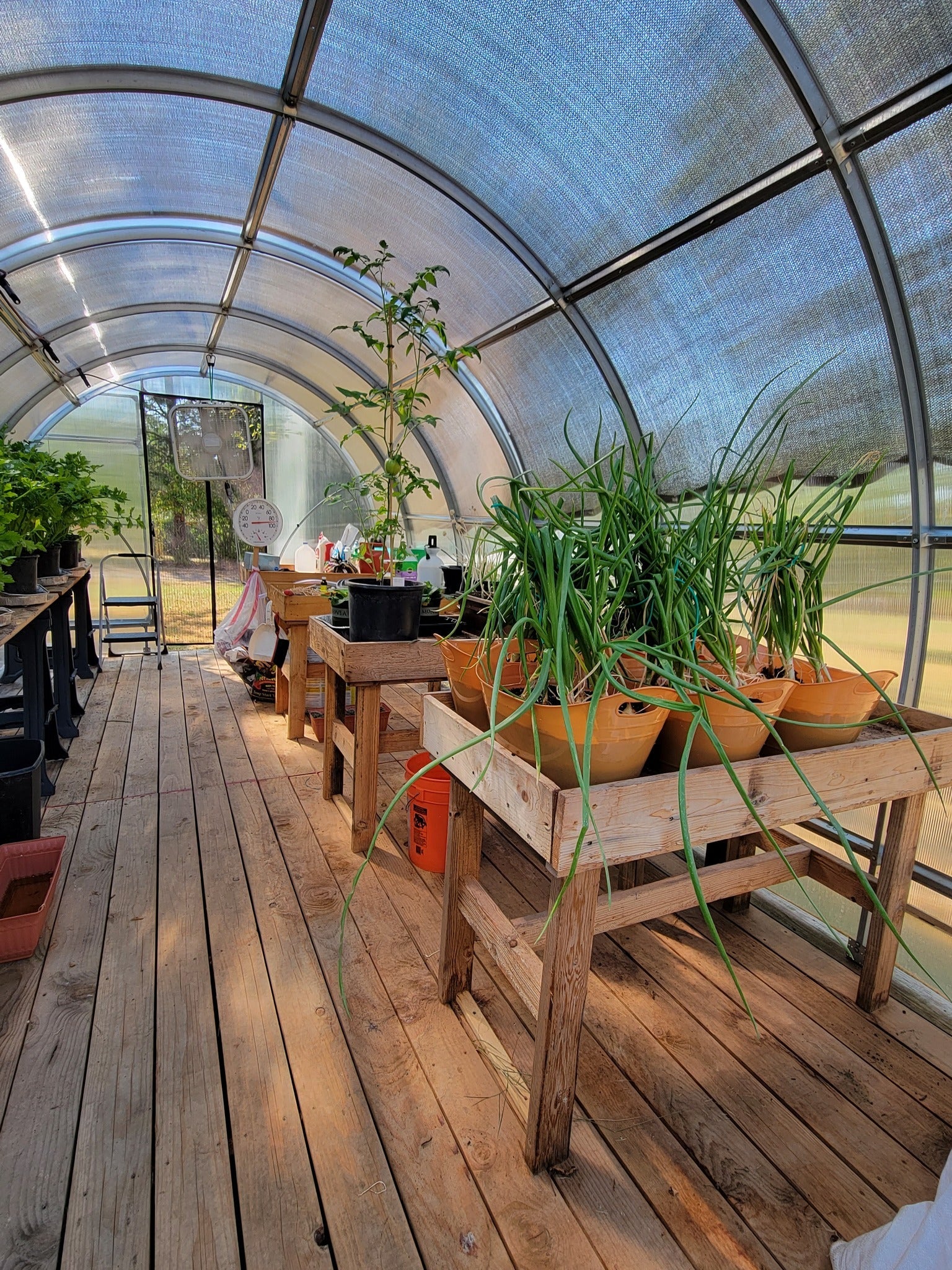 Sigma 20™ 10x7x20.ft Greenhouse - Dive To Garden