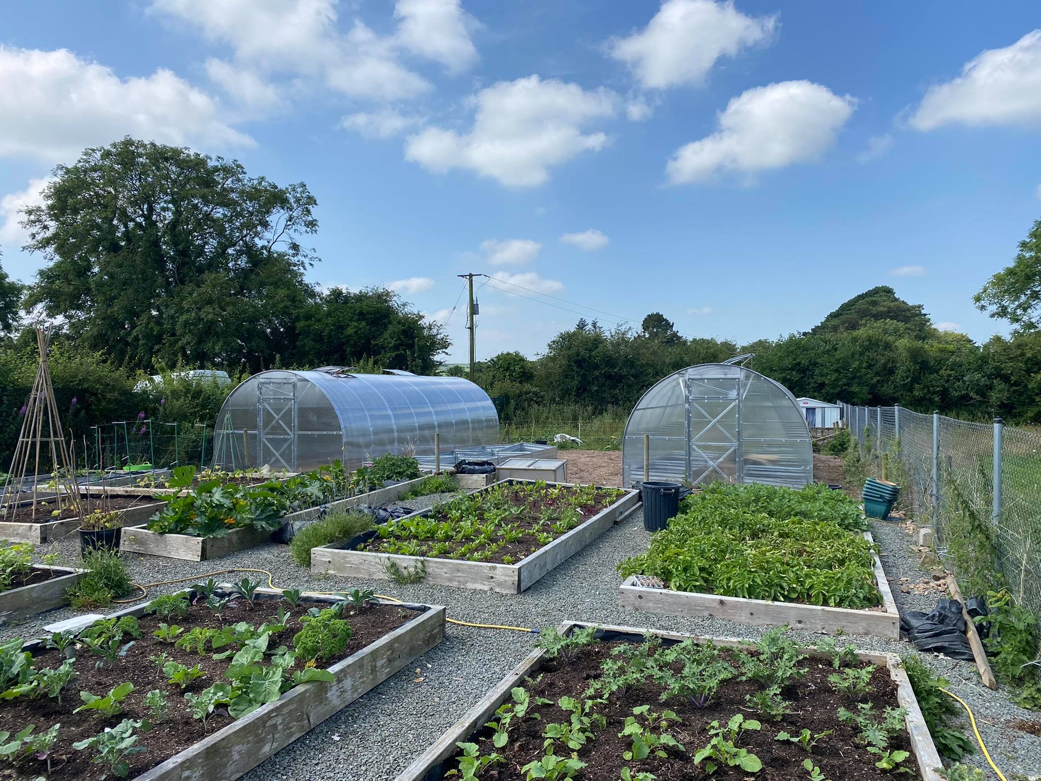Sigma 26™ 10x7x26.ft. Greenhouse - Dive To Garden