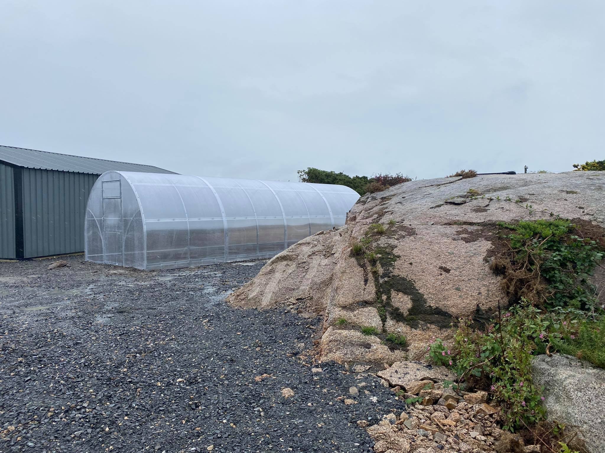 Sigma 32™ 10x7x32.ft Greenhouse - Dive To Garden