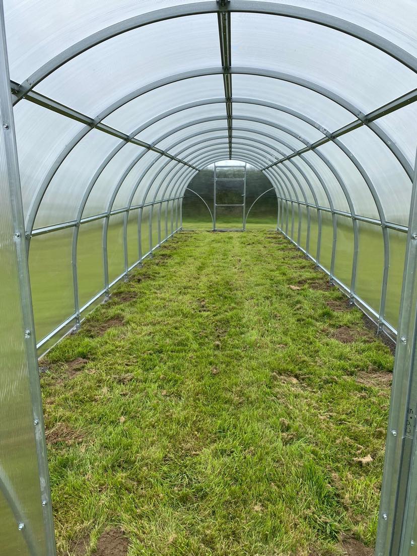 Sigma 32™ 10x7x32.ft Greenhouse - Dive To Garden