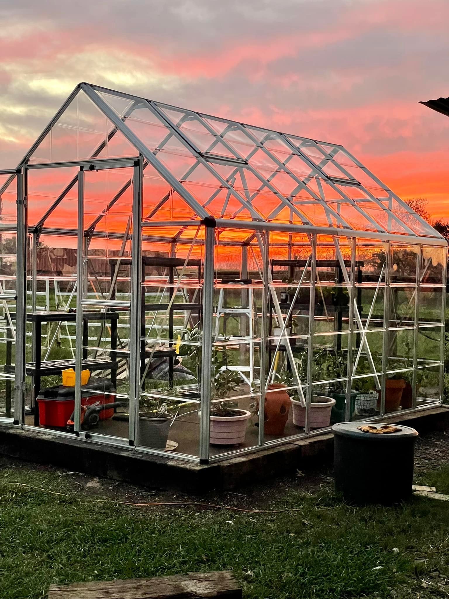 Snap&Grow™ 8x8x12.ft Clear Wall Greenhouse - Dive To Garden