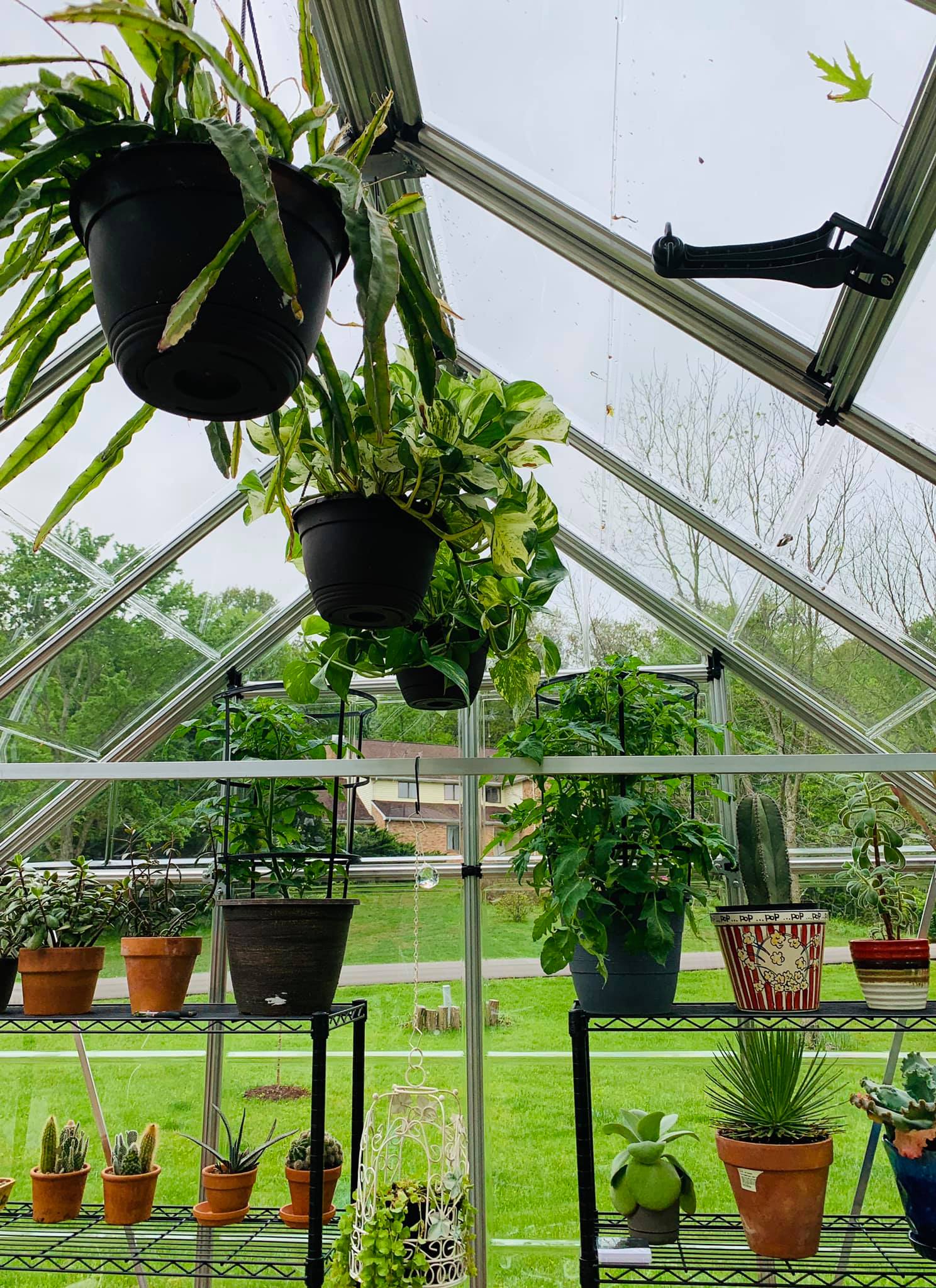 Snap&Grow™ 8x8x8.ft Clear Wall Greenhouse - Dive To Garden