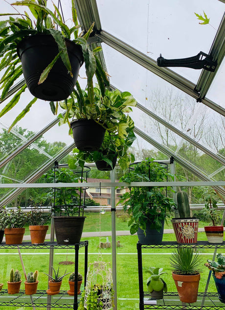 Snap&Grow™ 8x8x8.ft Clear Wall Greenhouse - Dive To Garden
