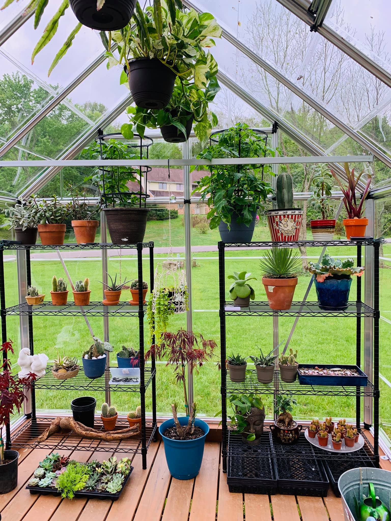 Snap&Grow™ 8x8x8.ft Clear Wall Greenhouse - Dive To Garden