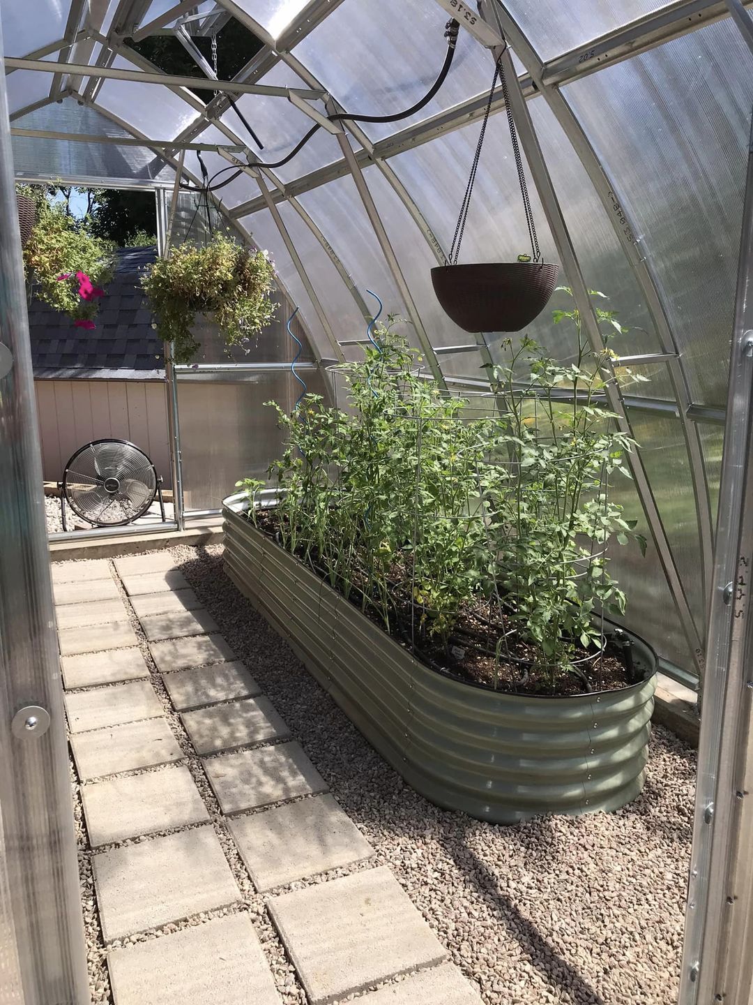 Sungrow 32™ 10x8x32.ft Greenhouse - Dive To Garden