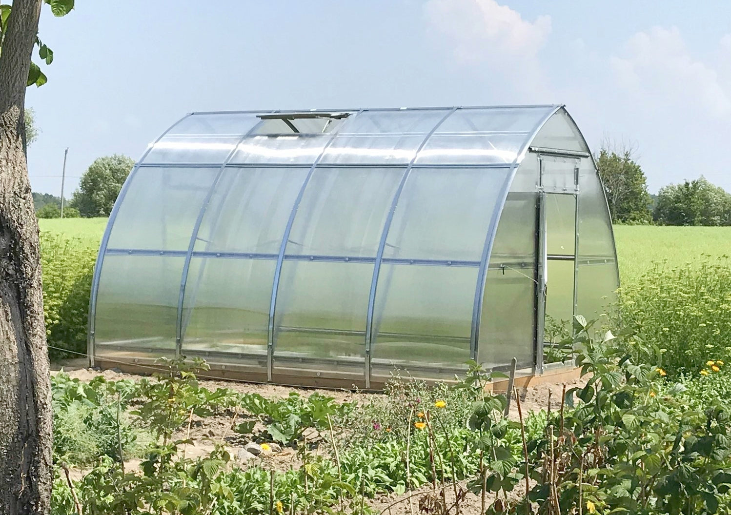 Sungrow Urban™ 10x8x13.ft Greenhouse - Dive To Garden